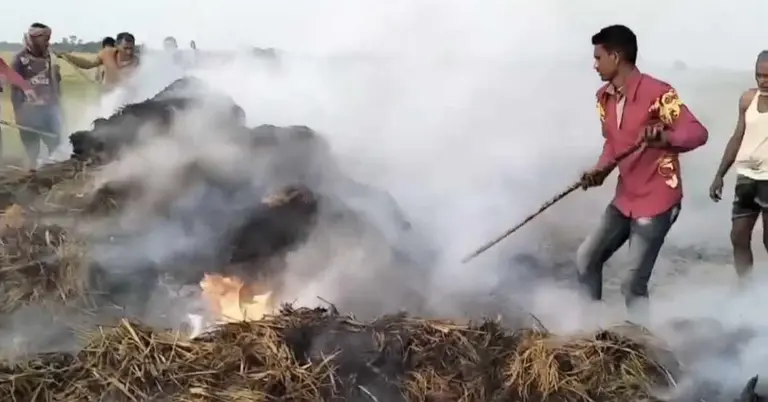 আগুন নেভানোর চেষ্টা করছেন স্থানীয়রা